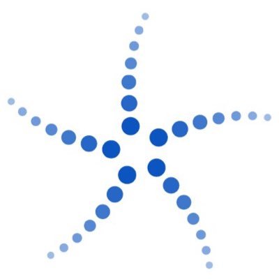 starfish shaped blue x